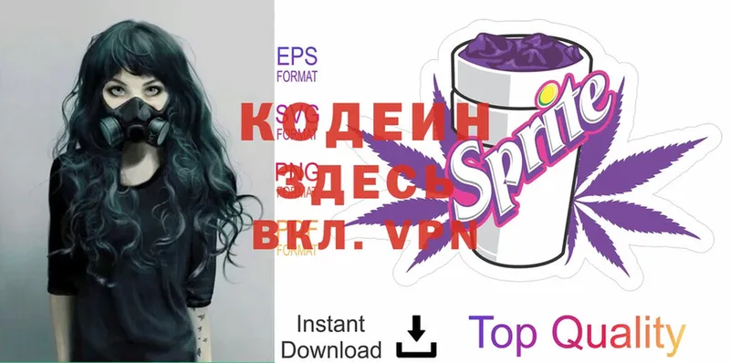 Кодеин Purple Drank  наркотики  mega ТОР  Губкин 